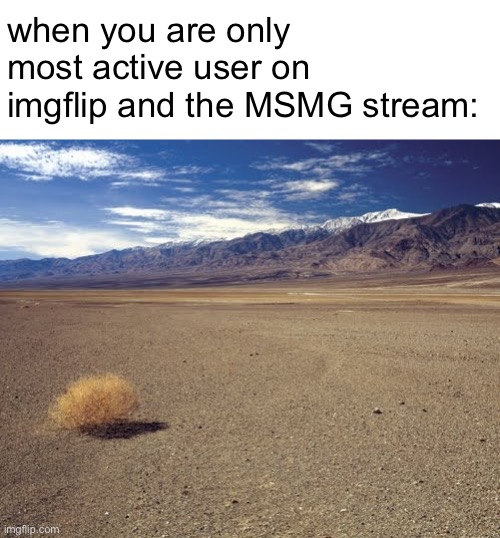 desert tumbleweed | when you are only most active user on imgflip and the MSMG stream: | image tagged in desert tumbleweed,memes | made w/ Imgflip meme maker