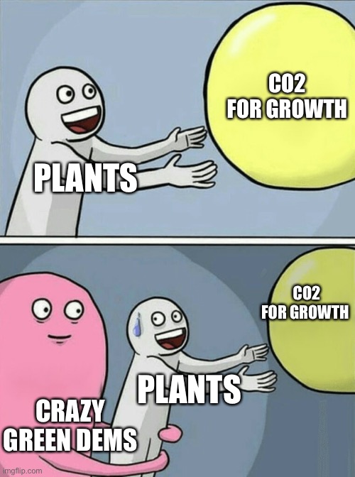 Running Away Balloon Meme | PLANTS CO2 FOR GROWTH CRAZY GREEN DEMS PLANTS CO2 FOR GROWTH | image tagged in memes,running away balloon | made w/ Imgflip meme maker