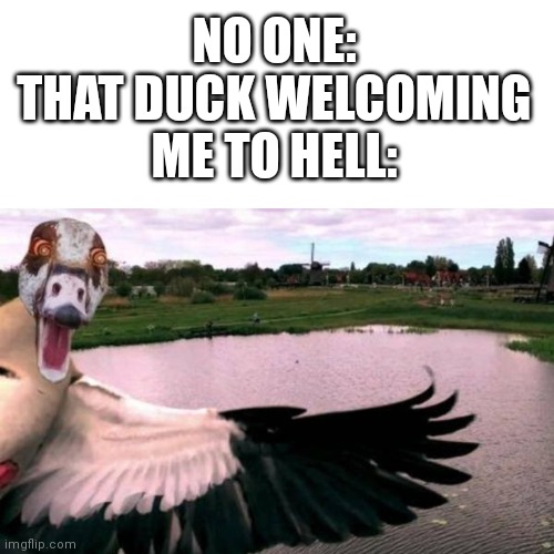 Definitely cursed. | NO ONE:
THAT DUCK WELCOMING ME TO HELL: | image tagged in cursed image,cursed,duck,no one | made w/ Imgflip meme maker