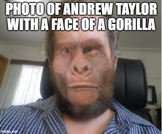 Andrew | PHOTO OF ANDREW TAYLOR WITH A FACE OF A GORILLA | image tagged in andrew | made w/ Imgflip meme maker