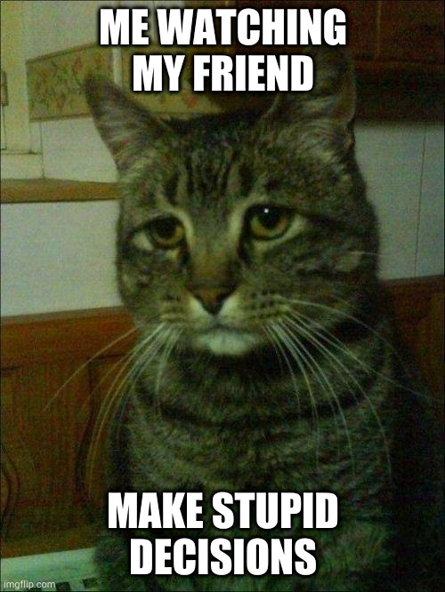 smh | ME WATCHING MY FRIEND; MAKE STUPID DECISIONS | image tagged in depressed cat | made w/ Imgflip meme maker