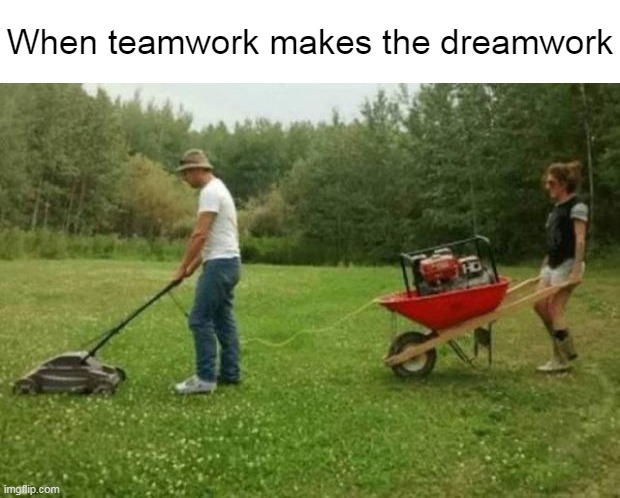 One Way to Take Care of the Lawn | When teamwork makes the dreamwork | image tagged in meme,memes,humor | made w/ Imgflip meme maker