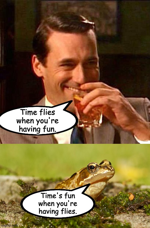 Fun | Time flies when you're having fun. Time's fun when you're having flies. | image tagged in drink | made w/ Imgflip meme maker