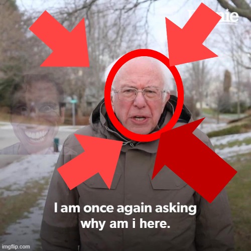 Bernie I Am Once Again Asking For Your Support | why am i here. | image tagged in memes,bernie i am once again asking for your support | made w/ Imgflip meme maker