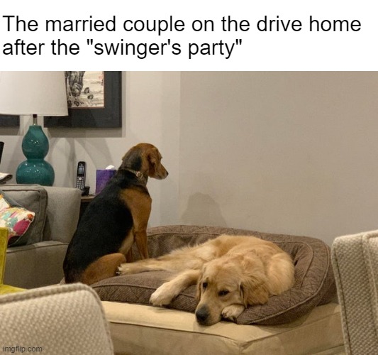 I thought we should go to the movies | The married couple on the drive home 
after the "swinger's party" | made w/ Imgflip meme maker