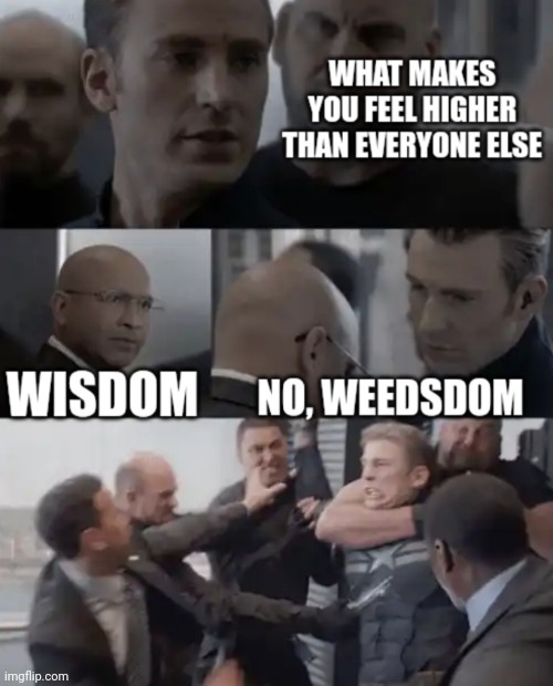 What Makes You Feel Higher Than Everyone Else? | image tagged in captain america elevator,wisdom,fight,captain america,memes | made w/ Imgflip meme maker