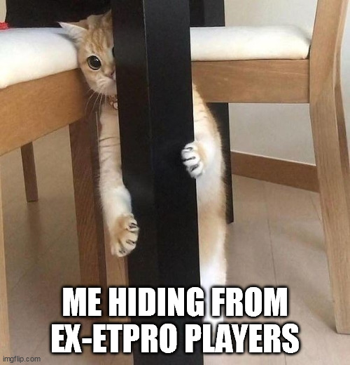 6hvqoy.jpg