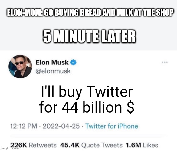 Elon musk had one job... | ELON-MOM: GO BUYING BREAD AND MILK AT THE SHOP; 5 MINUTE LATER; I'll buy Twitter for 44 billion $ | image tagged in elon musk buying twitter,memes,twitter,funny | made w/ Imgflip meme maker