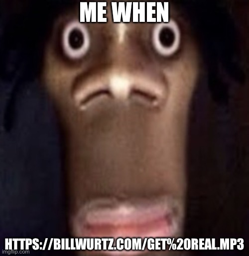 Quandale dingle | ME WHEN; HTTPS://BILLWURTZ.COM/GET%20REAL.MP3 | image tagged in quandale dingle | made w/ Imgflip meme maker