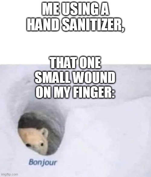 Bonjour | ME USING A HAND SANITIZER, THAT ONE SMALL WOUND ON MY FINGER: | image tagged in bonjour | made w/ Imgflip meme maker