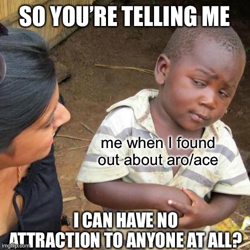 first meme with a real account | SO YOU’RE TELLING ME; me when I found out about aro/ace; I CAN HAVE NO ATTRACTION TO ANYONE AT ALL? | image tagged in memes,third world skeptical kid | made w/ Imgflip meme maker
