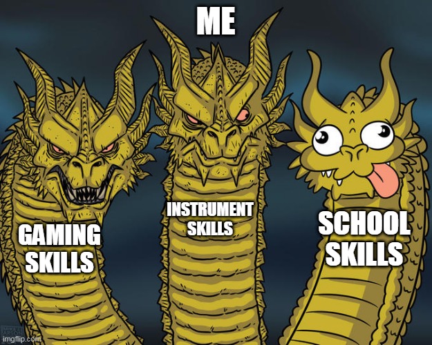 me be like: | ME; INSTRUMENT SKILLS; SCHOOL SKILLS; GAMING SKILLS | image tagged in three-headed dragon | made w/ Imgflip meme maker