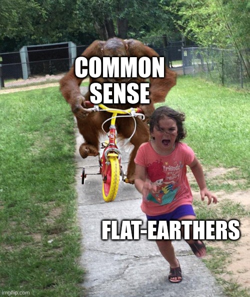 WAteR FIndS ITs OwN LeVEl |  COMMON SENSE; FLAT-EARTHERS | image tagged in orangutan chasing girl on a tricycle | made w/ Imgflip meme maker