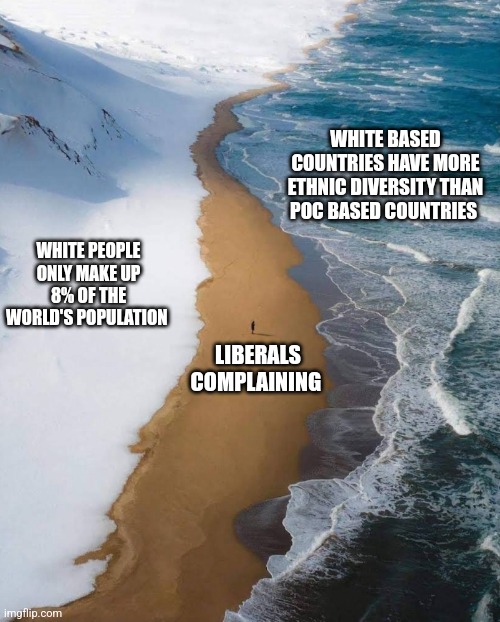 The odds | WHITE BASED COUNTRIES HAVE MORE ETHNIC DIVERSITY THAN POC BASED COUNTRIES; WHITE PEOPLE ONLY MAKE UP 8% OF THE WORLD'S POPULATION; LIBERALS COMPLAINING | image tagged in the odds | made w/ Imgflip meme maker