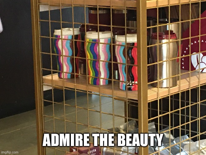 Just | ADMIRE THE BEAUTY | made w/ Imgflip meme maker