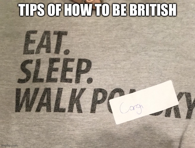 TIPS OF HOW TO BE BRITISH | made w/ Imgflip meme maker