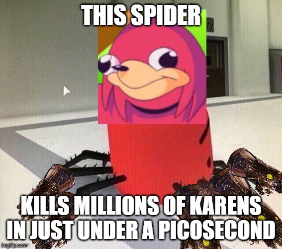 The perfect weapon to kill Karens | THIS SPIDER; KILLS MILLIONS OF KARENS IN JUST UNDER A PICOSECOND | image tagged in despacito spider,karens | made w/ Imgflip meme maker