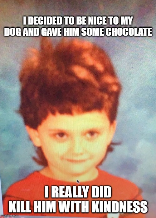 Psycho Killer | I DECIDED TO BE NICE TO MY DOG AND GAVE HIM SOME CHOCOLATE; I REALLY DID KILL HIM WITH KINDNESS | image tagged in mullet girl | made w/ Imgflip meme maker