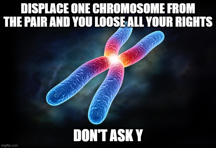 Hey Ladies | DISPLACE ONE CHROMOSOME FROM THE PAIR AND YOU LOOSE ALL YOUR RIGHTS; DON'T ASK Y | image tagged in chromosomes | made w/ Imgflip meme maker