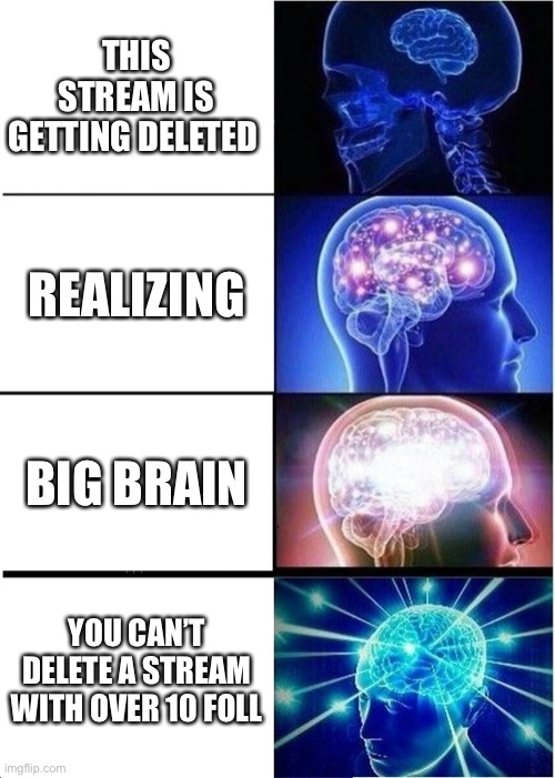 Expanding Brain | THIS STREAM IS GETTING DELETED; REALIZING; BIG BRAIN; YOU CAN’T DELETE A STREAM WITH OVER 10 FOLLOWERS | image tagged in memes,expanding brain | made w/ Imgflip meme maker