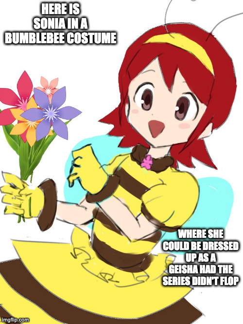 Sonia in Bumblebee Suit | HERE IS SONIA IN A BUMBLEBEE COSTUME; WHERE SHE COULD BE DRESSED UP AS A GEISHA HAD THE SERIES DIDN'T FLOP | image tagged in sonia strumm,megaman,megaman star force,memes | made w/ Imgflip meme maker
