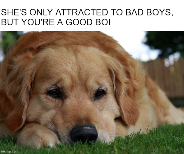 I don't think this is going to work out | SHE'S ONLY ATTRACTED TO BAD BOYS, 
BUT YOU'RE A GOOD BOI | made w/ Imgflip meme maker