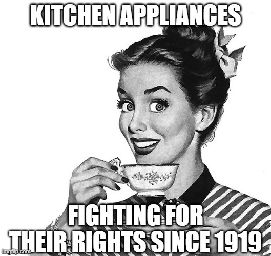 Go Amana!!! | KITCHEN APPLIANCES; FIGHTING FOR THEIR RIGHTS SINCE 1919 | image tagged in 50s woman | made w/ Imgflip meme maker