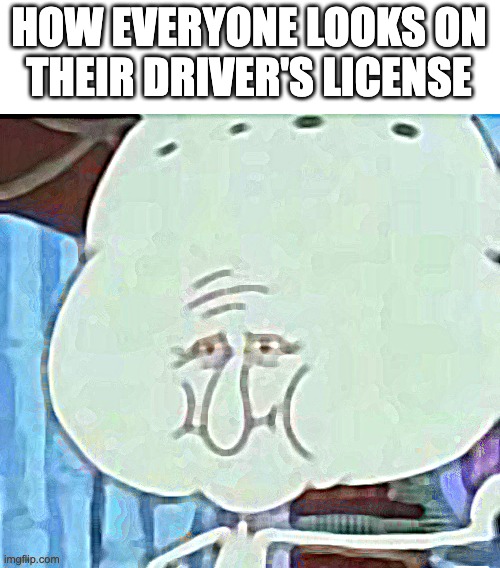 . . . | HOW EVERYONE LOOKS ON
THEIR DRIVER'S LICENSE | image tagged in driving,squidward,funny | made w/ Imgflip meme maker