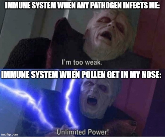 Immune system throwing | IMMUNE SYSTEM WHEN ANY PATHOGEN INFECTS ME:; IMMUNE SYSTEM WHEN POLLEN GET IN MY NOSE: | image tagged in too weak unlimited power | made w/ Imgflip meme maker