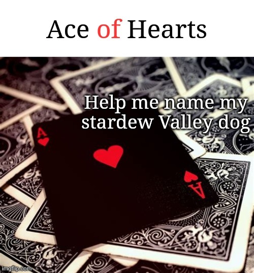 Help me name my stardew Valley dog | image tagged in ace of hearts | made w/ Imgflip meme maker