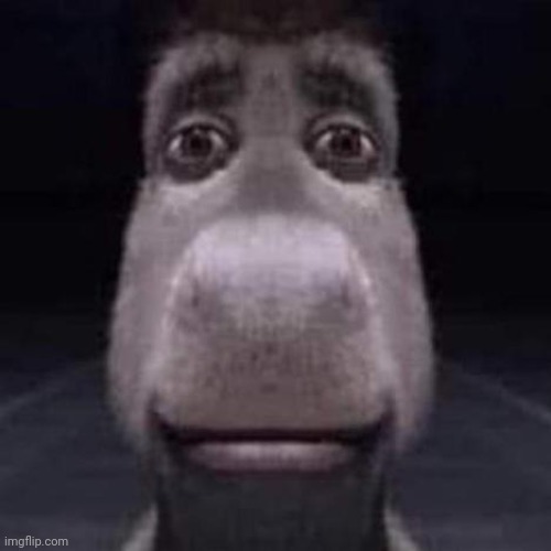 Front Facing Donkey From Shrek | image tagged in front facing donkey from shrek | made w/ Imgflip meme maker