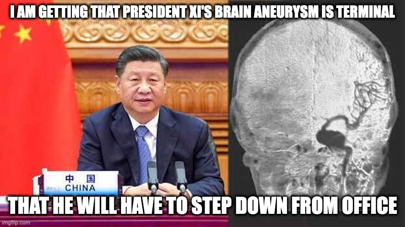 President Xi's Brain Aneurysm | I AM GETTING THAT PRESIDENT XI'S BRAIN ANEURYSM IS TERMINAL; THAT HE WILL HAVE TO STEP DOWN FROM OFFICE | image tagged in politics,memes,brain aneurysm | made w/ Imgflip meme maker