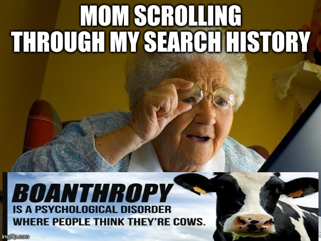 Grandma Finds The Internet | MOM SCROLLING THROUGH MY SEARCH HISTORY | image tagged in memes,grandma finds the internet | made w/ Imgflip meme maker