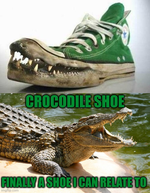 Crocodile shoe | CROCODILE SHOE; FINALLY A SHOE I CAN RELATE TO | image tagged in crocodile,crocodile shoe,shoes,shoe,crocodiles,memes | made w/ Imgflip meme maker
