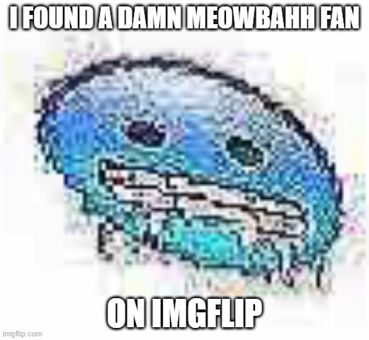 Ice cursed | I FOUND A DAMN MEOWBAHH FAN; ON IMGFLIP | image tagged in ice cursed | made w/ Imgflip meme maker