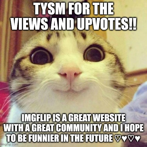 Tysm ♥︎ | TYSM FOR THE VIEWS AND UPVOTES!! IMGFLIP IS A GREAT WEBSITE WITH A GREAT COMMUNITY AND I HOPE TO BE FUNNIER IN THE FUTURE ♡♥︎♡♥︎ | image tagged in memes,smiling cat | made w/ Imgflip meme maker