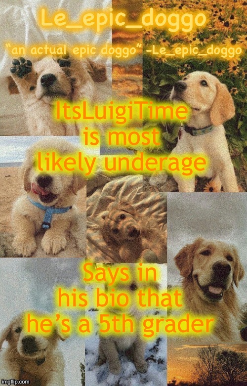 Doggo temp by doggo. Wait what that’s confusing | ItsLuigiTime is most likely underage; Says in his bio that he’s a 5th grader | image tagged in doggo temp by doggo wait what that s confusing | made w/ Imgflip meme maker