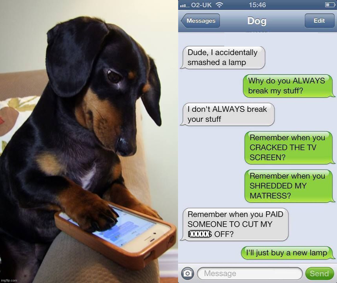 When someone makes a good point. | xxxxx | image tagged in dog,texting,but why tho | made w/ Imgflip meme maker