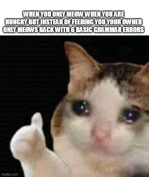 sad thumbs up cat | WHEN YOU ONLY MEOW WHEN YOU ARE HUNGRY BUT INSTEAD OF FEEDING YOU YOUR OWNER ONLY MEOWS BACK WITH 6 BASIC GRAMMAR ERRORS | image tagged in sad thumbs up cat | made w/ Imgflip meme maker