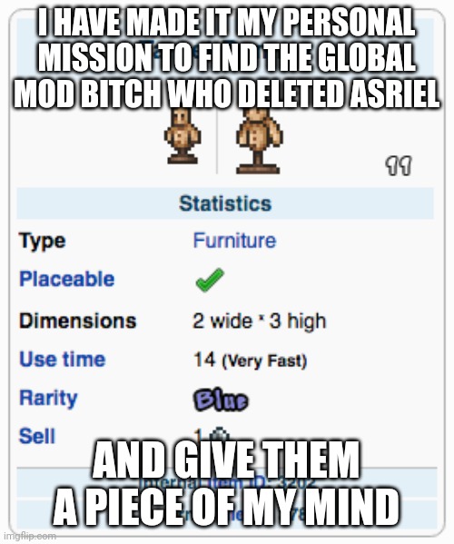 I won't take that shit anymore | I HAVE MADE IT MY PERSONAL MISSION TO FIND THE GLOBAL MOD BITCH WHO DELETED ASRIEL; AND GIVE THEM A PIECE OF MY MIND | image tagged in terraria training dummy | made w/ Imgflip meme maker