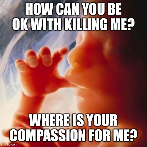 Fetus | HOW CAN YOU BE OK WITH KILLING ME? WHERE IS YOUR COMPASSION FOR ME? | image tagged in fetus | made w/ Imgflip meme maker