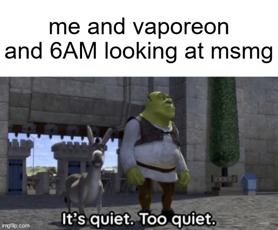 we're basically one of the few that wake up that early | me and vaporeon and 6AM looking at msmg | image tagged in msmg lore | made w/ Imgflip meme maker