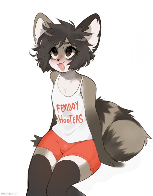 A classic. (By Fredek666) | image tagged in furry,femboy,cute,hooters | made w/ Imgflip meme maker
