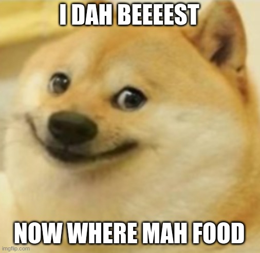 Smile Doge (Cropped) | I DAH BEEEEST NOW WHERE MAH FOOD | image tagged in smile doge cropped | made w/ Imgflip meme maker