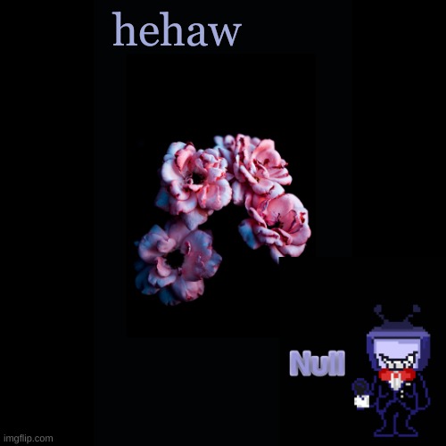 . | hehaw | made w/ Imgflip meme maker