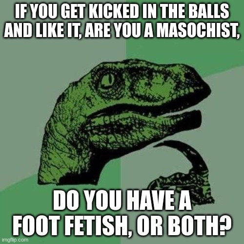 Or are you dead on the inside? | IF YOU GET KICKED IN THE BALLS AND LIKE IT, ARE YOU A MASOCHIST, DO YOU HAVE A FOOT FETISH, OR BOTH? | image tagged in raptor | made w/ Imgflip meme maker