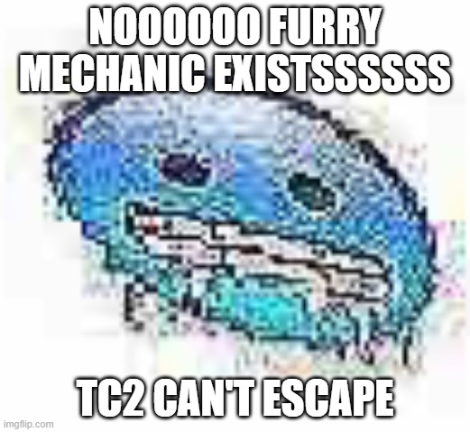 Ice cursed | NOOOOOO FURRY MECHANIC EXISTSSSSSS; TC2 CAN'T ESCAPE | image tagged in ice cursed | made w/ Imgflip meme maker