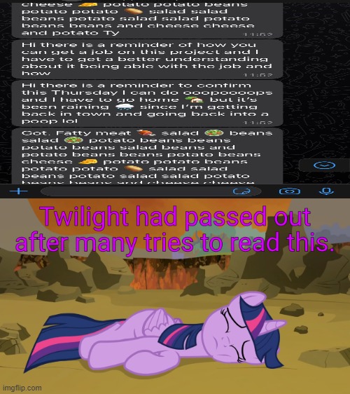 image tagged in twilight had passed out after many tries to read this,mlp,my llittlee pony,r/ihadastroke | made w/ Imgflip meme maker
