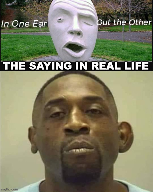 THE SAYING IN REAL LIFE | image tagged in in one ear | made w/ Imgflip meme maker