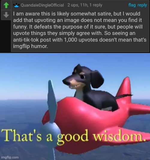 Very good wisdom | image tagged in that's a good wisdom | made w/ Imgflip meme maker